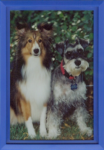 Are we cute or what?