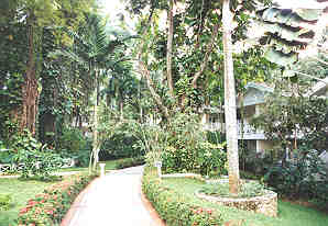 The grounds of the resort
