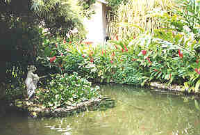 Pond near the resort entrance