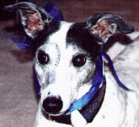 Libby w/blue bow