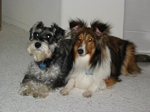 Mitzi and Mandy, Sept 2002