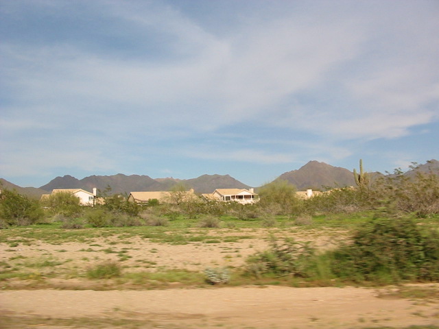 tonto national forest